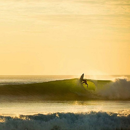 vive le surf 3