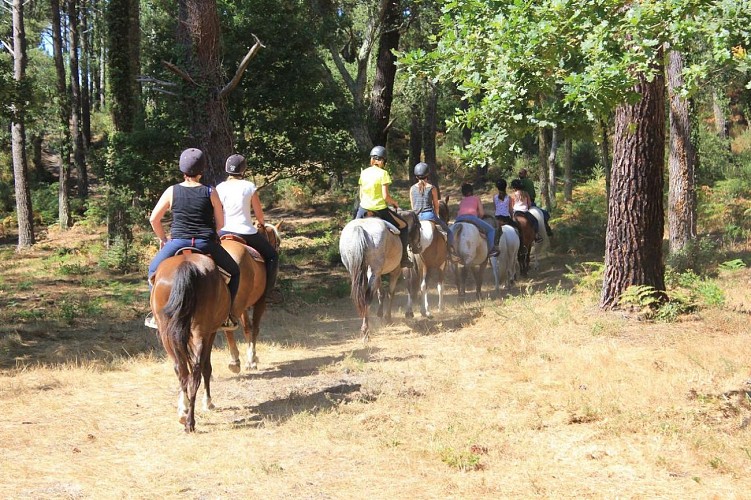 sunset ranch seignosse