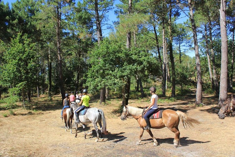 Centre équestre - Sunset Ranch Seignosse
