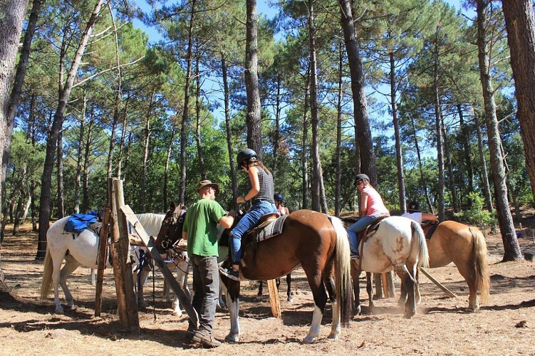Centre équestre - Sunset Ranch Seignosse