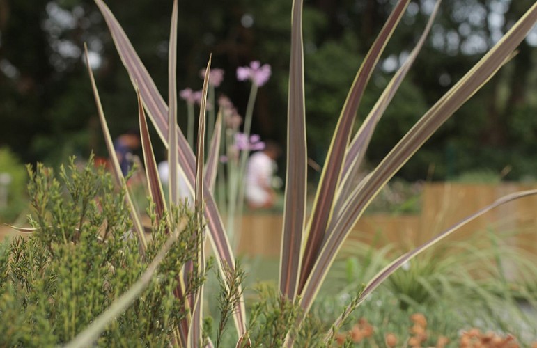 grasshopper-1024-5-2