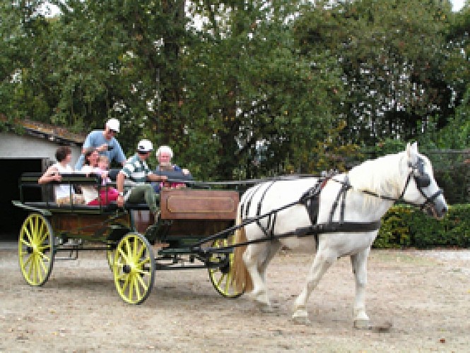 Les écuries Saint-Martin