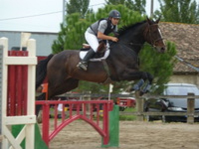 centre-equestre-des-cedres