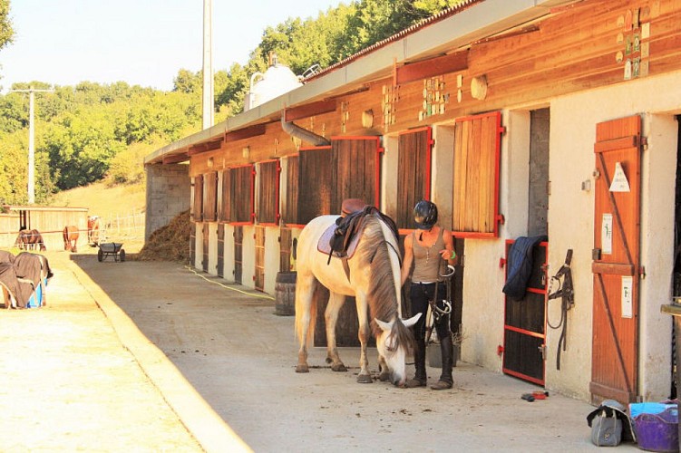 st-damien-cavaliere-box-la-sauvetat-de-saveres