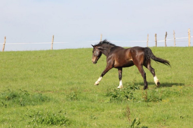 Centre Equestre de Cazettes