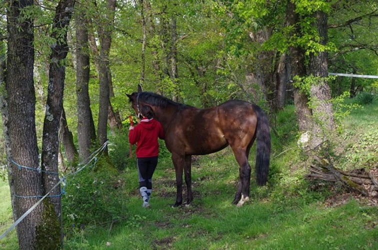 Coeurdebastides_Pailloles_EquipementLoisirs_HarasdeSoulignac4_20160928 (800x600)