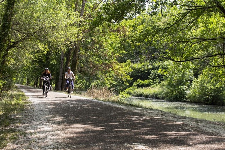 Cycles Sud Ouest © Albret Tourisme_8