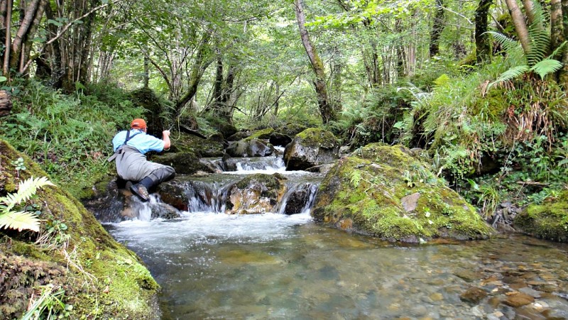 Fabrice Boucher; guide de pêche - Technique de pêche