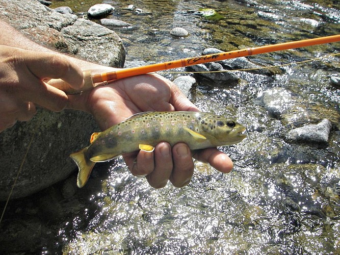 Fabrice Boucher; guide de pêche - Poisson