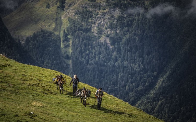 1440 randonnée_anes_ossau_béarn_pyrénées ©Adrien Basse-Cathalinat DSCF2844-2