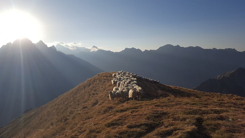 Randonnee-Ossau2©Pierre-Vidal