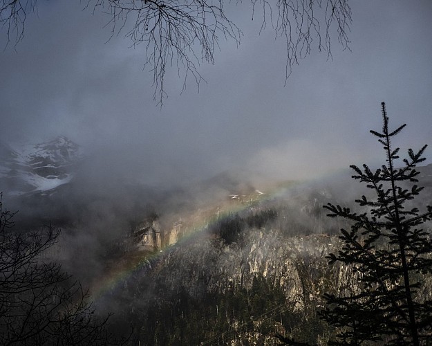 Parc-National-Soussoueou13©PaysdeBearn-Adrien-B-Cathalinat