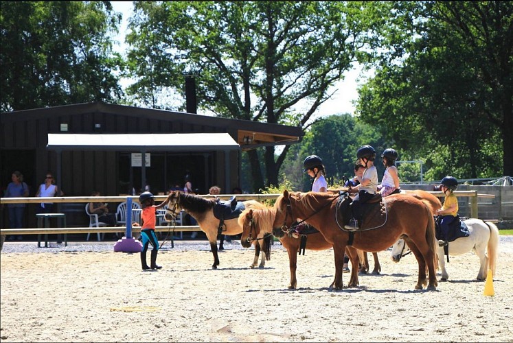 Ecurie Thierry Chanonat - Idron - Carrière