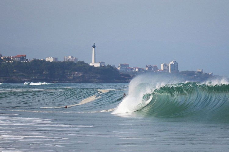 anglet-surf-ocean-01