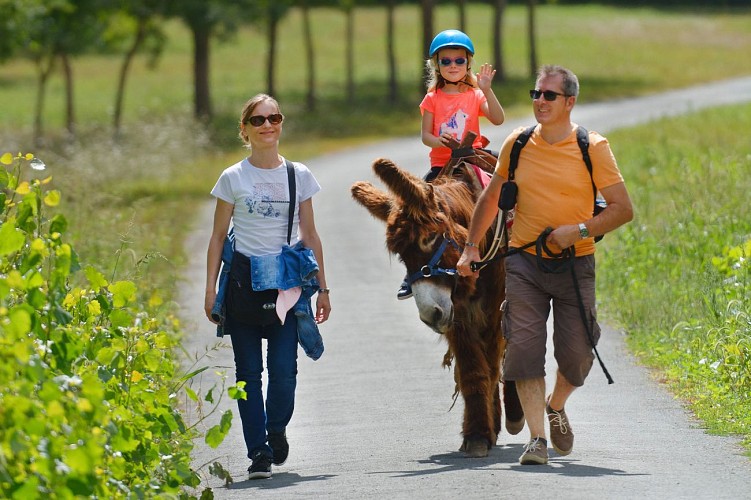 "Du Coq à l'Ane" : la Rando'Ane et l'asinerie du Marais poitevin à Saint-Georges