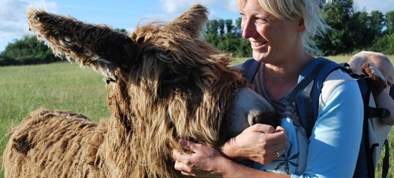 Un baudet du Poitou