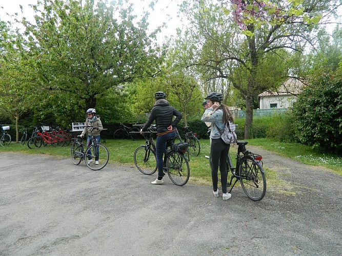 Prêts pour une virée à vélo