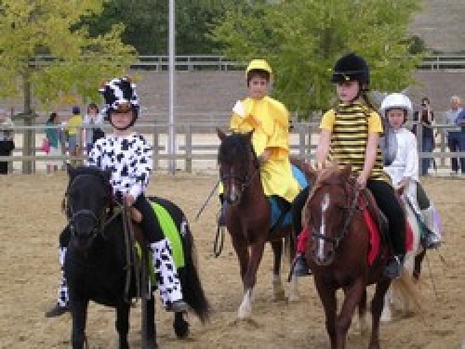 Stage d'équitation