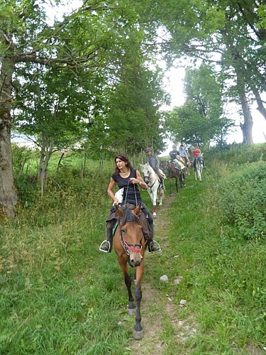 Le Relais Equestre Equinoxe à Saint-Rémy