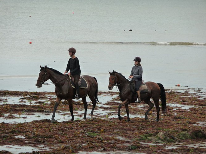 Balade en bord de mer