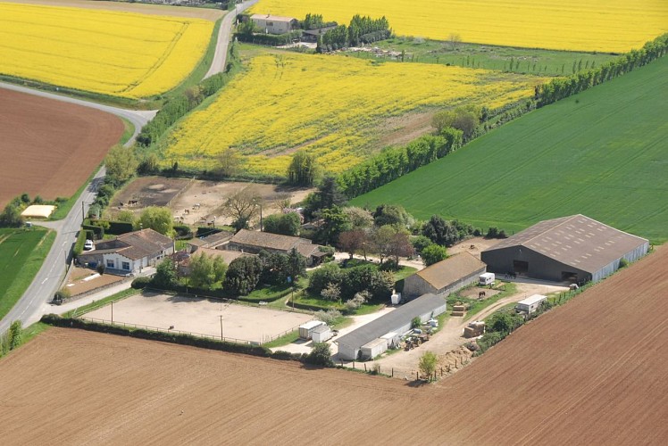 Le centre équestre vu du ciel