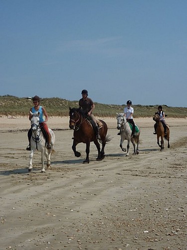 Balade en bord de mer