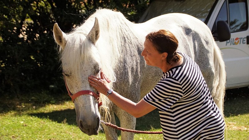 Relais Equestre Equinoxe