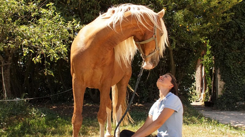 Relais Equestre Equinoxe