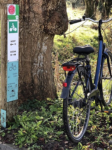 Venise Verte Evasion : loueur de vélos à Sansais-La Garette