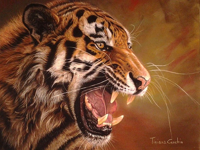 10-tigre