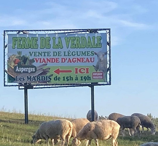 Panneau de la Verdale