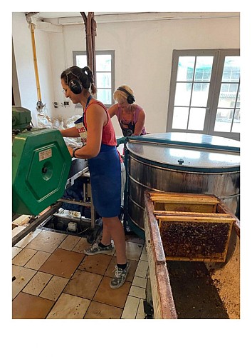 photos activités APICULTURE BOBINEAU-2