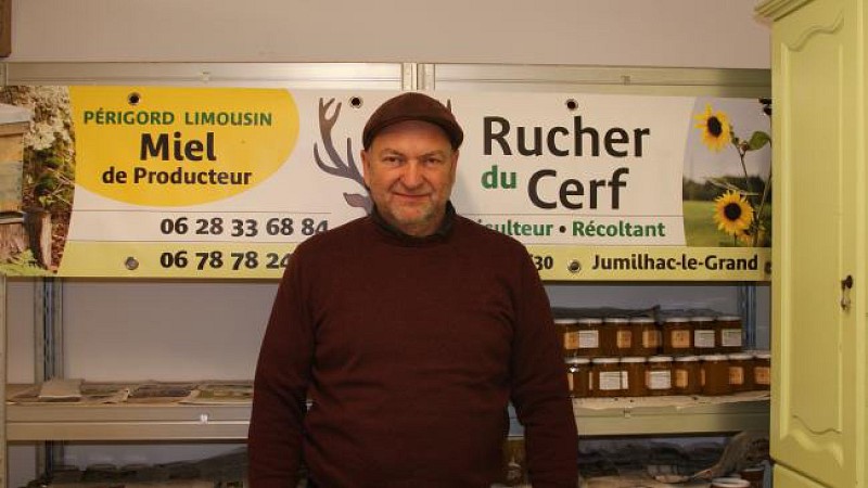 portrait rucher du cerf