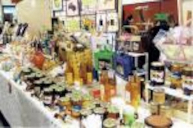 OTPT_MichèleSAngla_Apicultrice_Bégaar_01