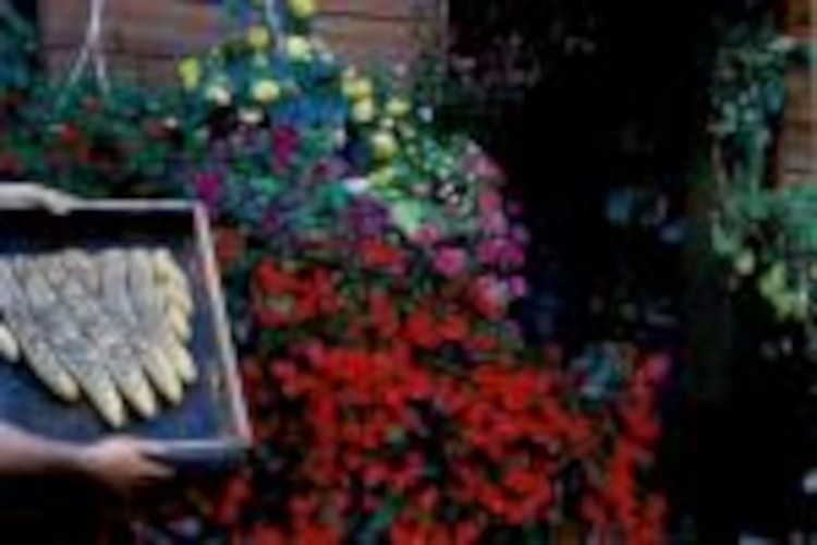 OTPT_MichèleSAngla_Apicultrice_Bégaar_03