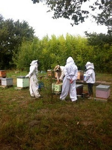 Apiculteur04-StEtiennedOrthe_ApidOr