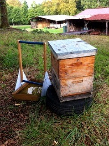 Apiculteur05-StEtiennedOrthe_ApidOr