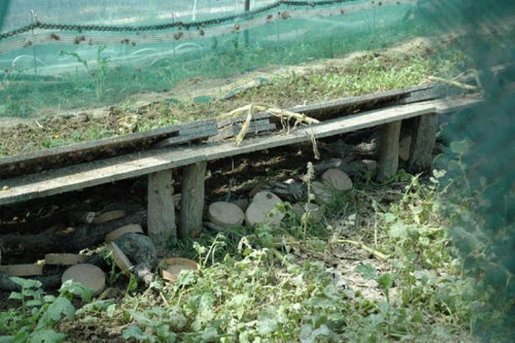 Aquitaine Escargots2