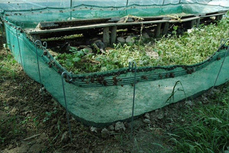 Aquitaine Escargots1