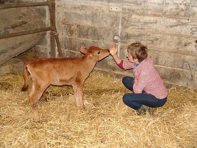 Ferme Irrika élevage 64120 (8)