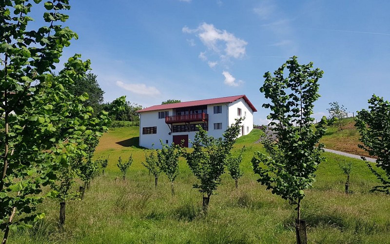 Huilerie Errota - La Noisette Basque