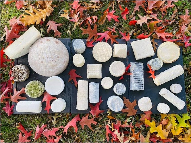 largeasse-fromagerie-la-barotiere-plateau