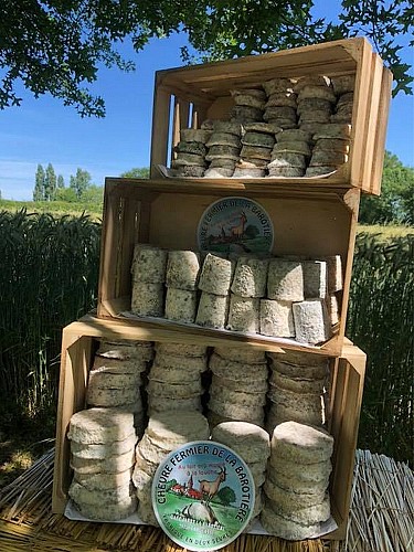 largeasse-fromagerie-la-barotiere-fromages-chevre