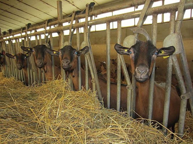 JARRY Olivier-w.jpg_1