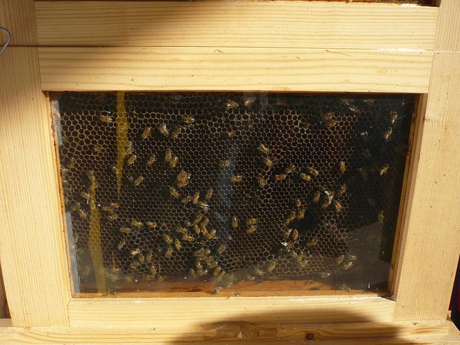 La Miellerie de Surimeau