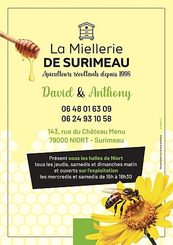 MS-Flyer 105X148-Choisi-Vect_page-0001