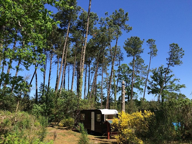 Ocean Shelter - hébergement insolite