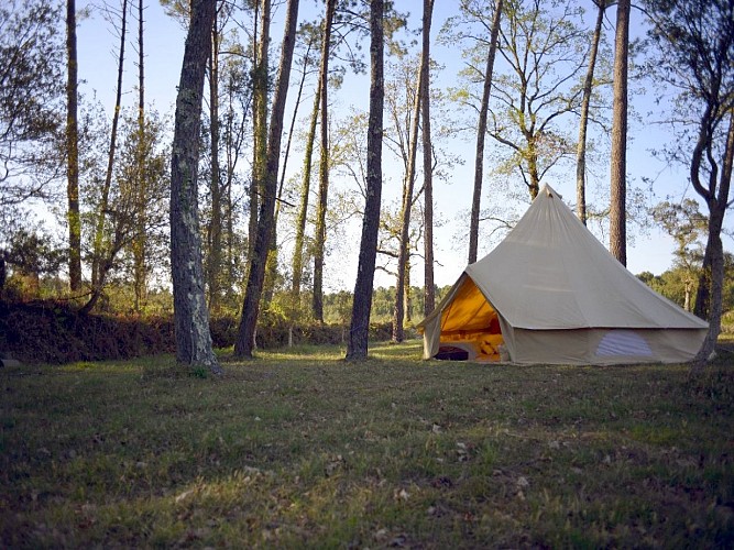 Ocean Shelter - hébergement insolite