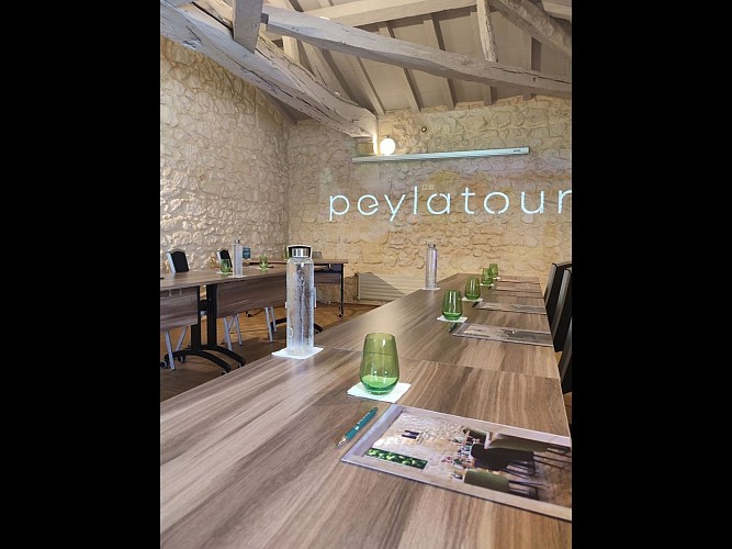 Peylatour, Le Chateau