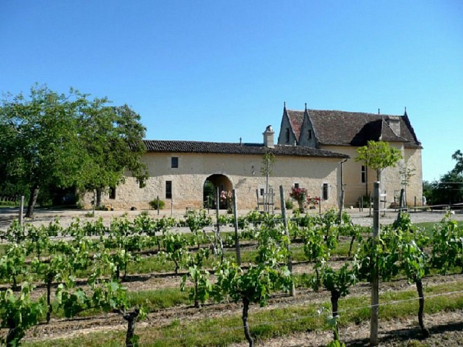Château La Loubière vignes